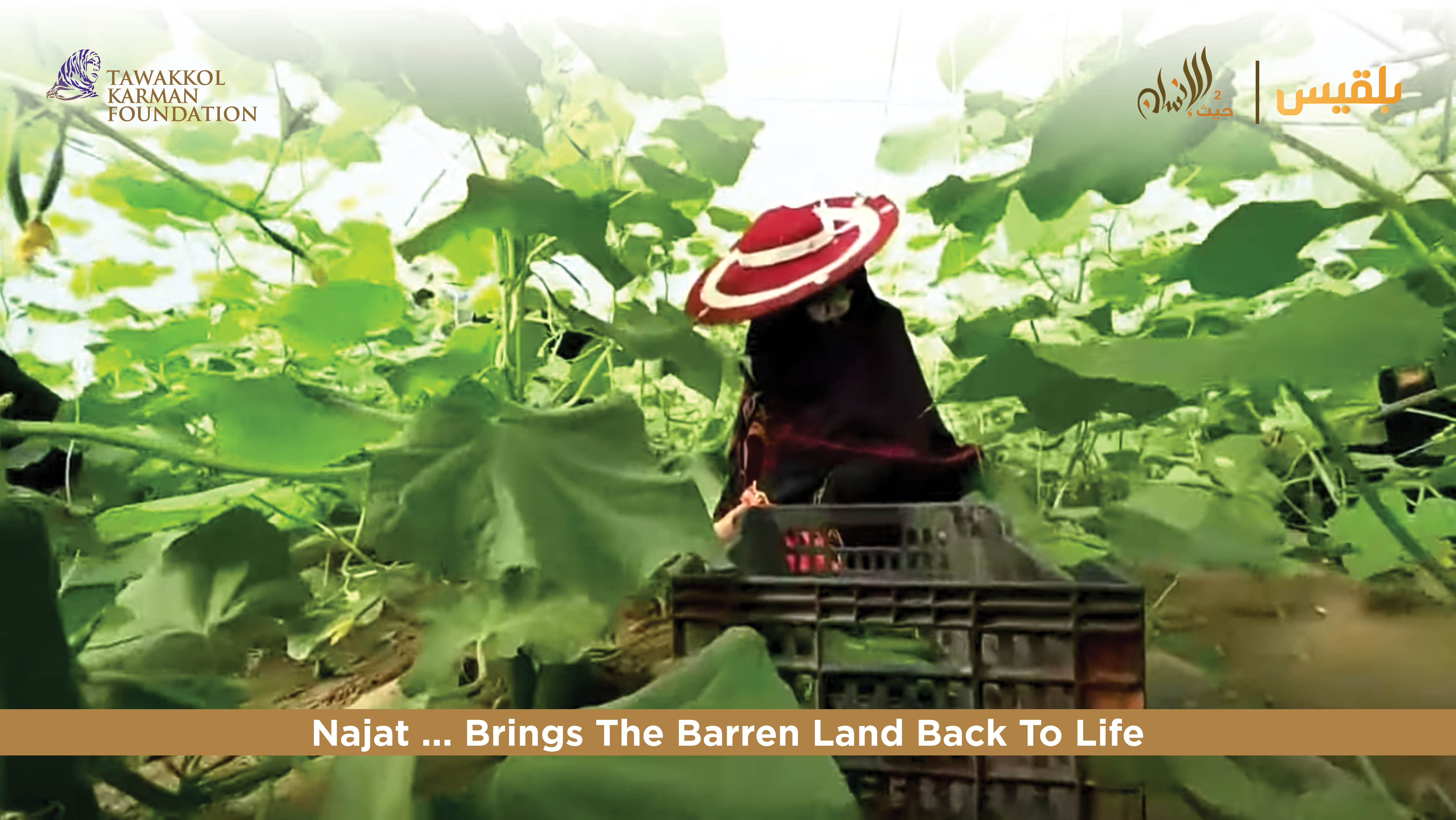  Tawakkol Karman Foundation Fulfills an Agricultural Engineer’s Dream